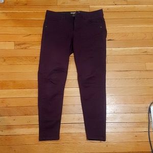 Maroon pants